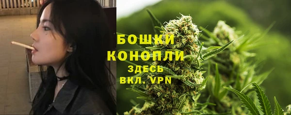 гашик Беломорск
