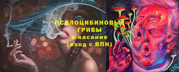 первитин Белокуриха
