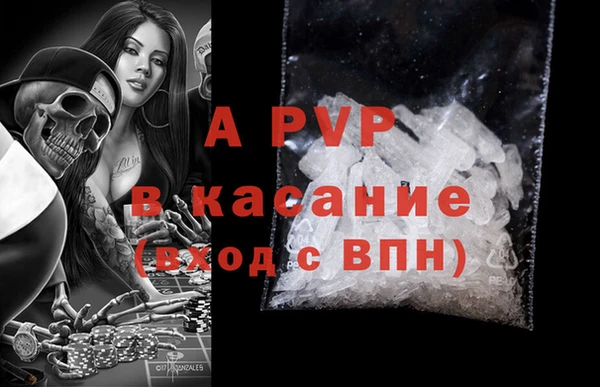 гашик Беломорск