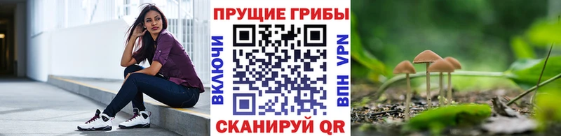 Псилоцибиновые грибы Magic Shrooms как найти Афипский